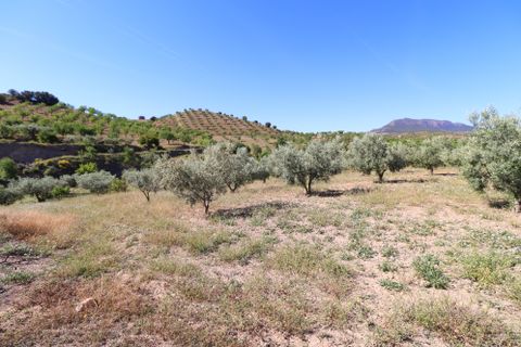 Landejendom i Velez-Rubio, Almeria, Velez-Rubio - € 170.000 | Ref: 3054-CH - foto 36